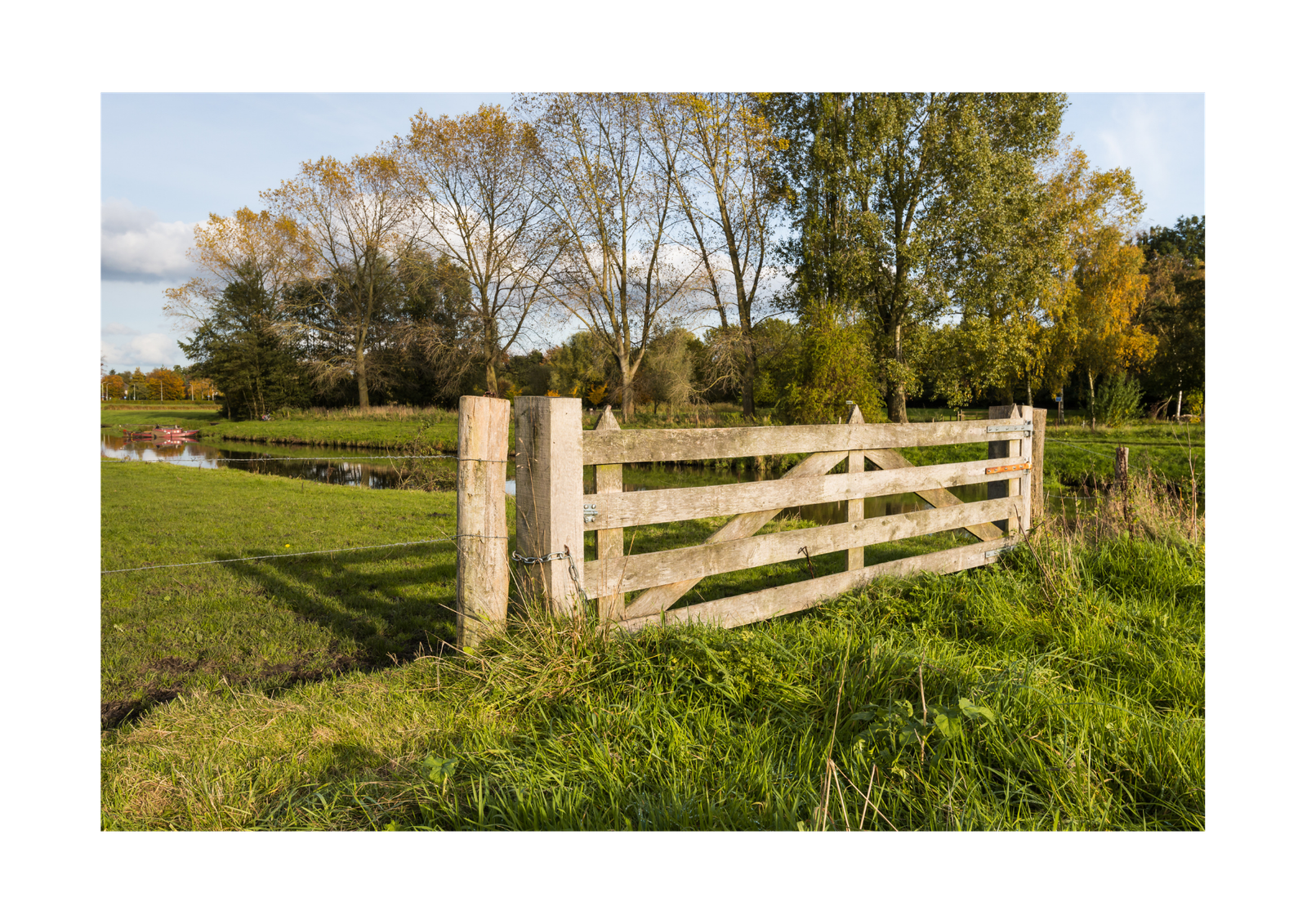 Rural Security